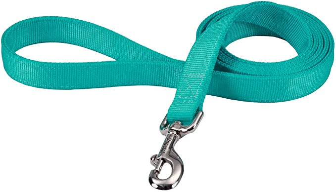 Teal nylon dog leash/lead good for medium to large dogs.