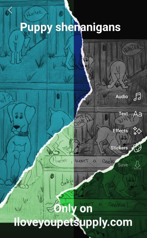 Puppy Shenanigans