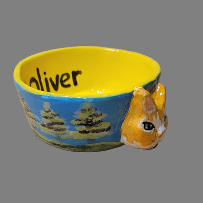 Special Custom Pet Bowls for small, medium and large size dogs and cats