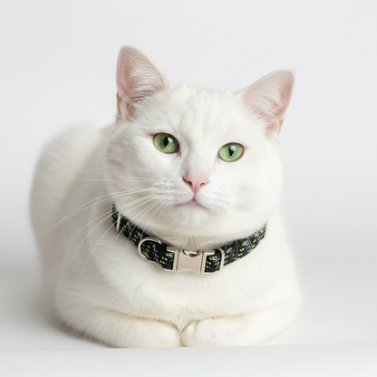 Costal Elasta Cat Reflective Breakaway Collar 10" green/black