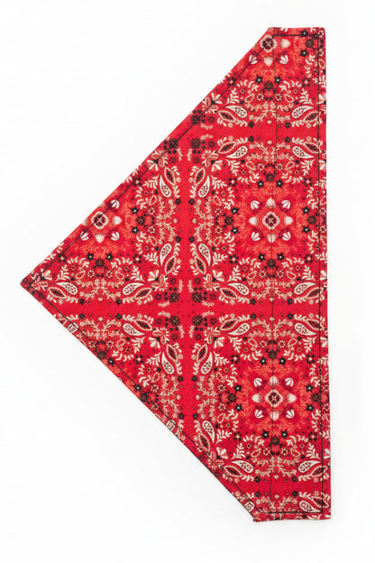 Every Day Dog Bandanas