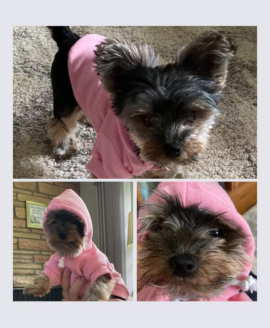 Pet Hoodies for Dogs