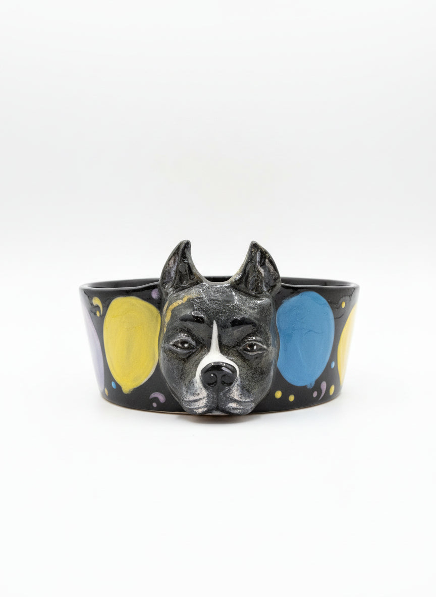Special Custom Pet Bowls for small, medium and large size dogs and cats