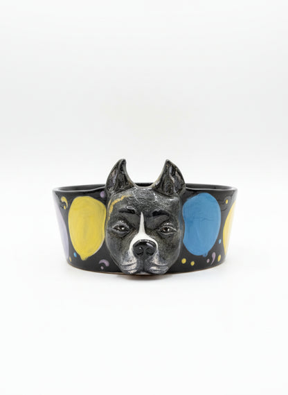 Special Custom Pet Bowls for small, medium and large size dogs and cats