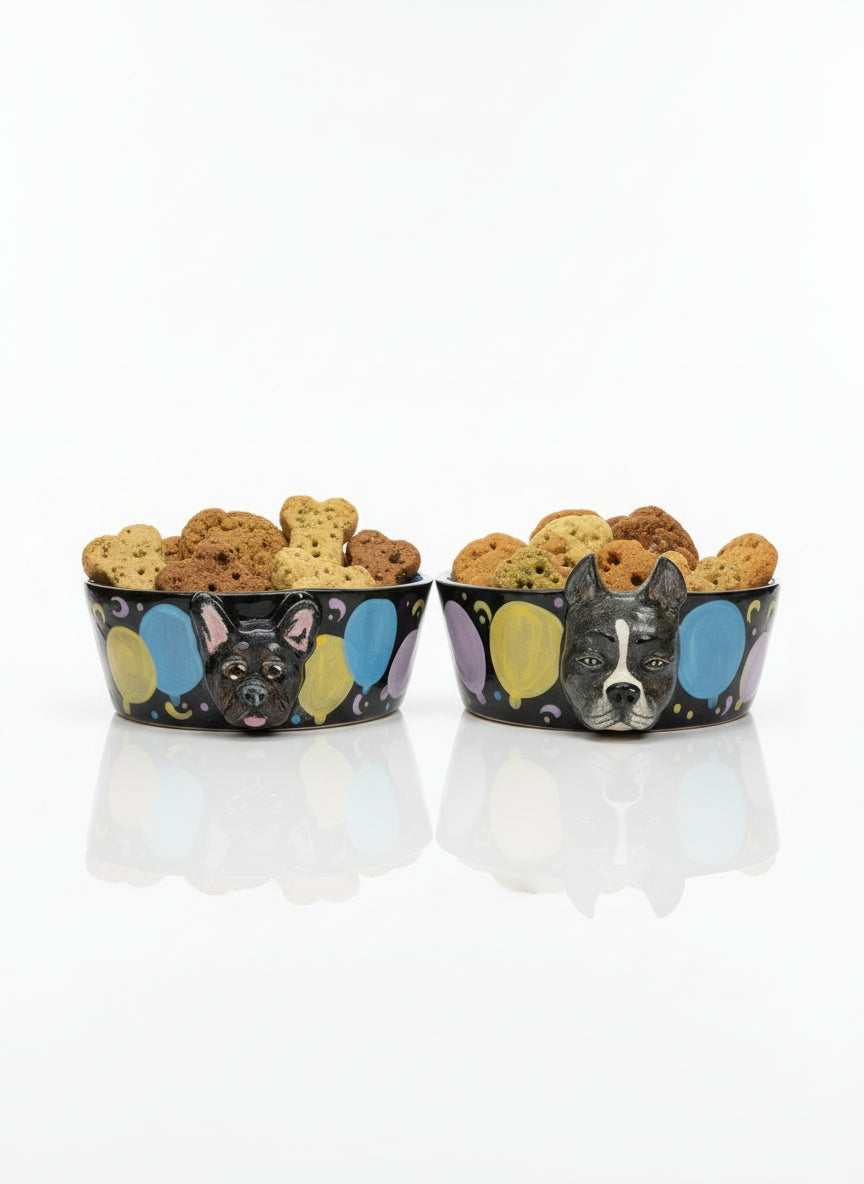 Special Custom Pet Bowls for small, medium and large size dogs and cats