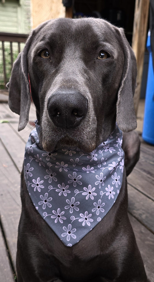 Gray dog bandana with pink daises.