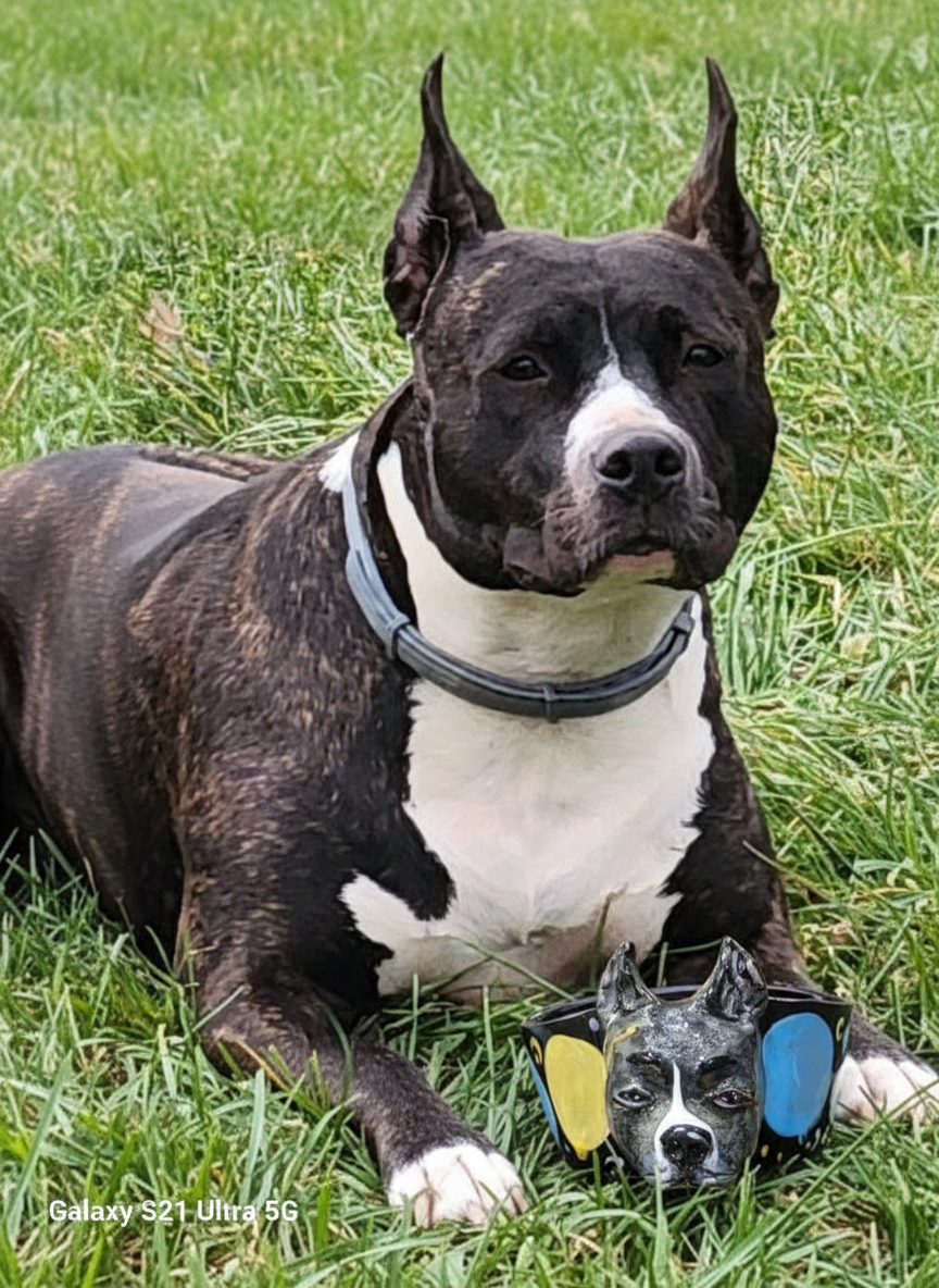 Custom bowl with dog