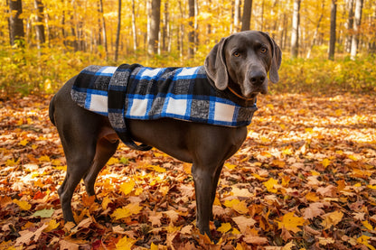 Custom Fleece Dog Vest