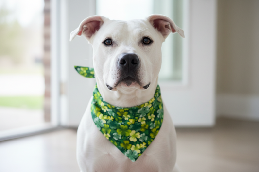 Saint Patrick's Day Dog Bandanas