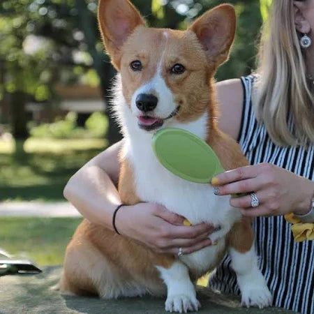 Dog - Safari Bristle Brush
